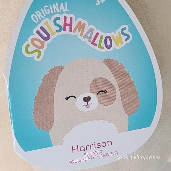 HARRISON 🐶 Fuzzy Ears Cream Puppy Dog Original Squishmallow By Kellytoy NWT - Picture 6 of 9